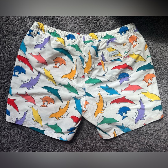 Bluemint Swim Trunks BRAND NEW! - Picture 2 of 4